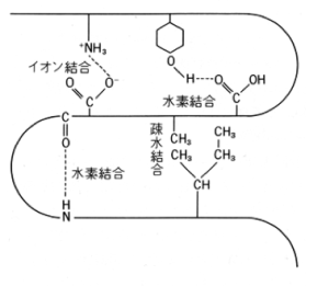 ショートパーマスタイル Obp をふんわりしっかり当てる5つの方法 髪質改善 エクステサロン ノイズシェーン大阪 Tamazon Studio Tokyoで馴染むエクステと縮毛矯正